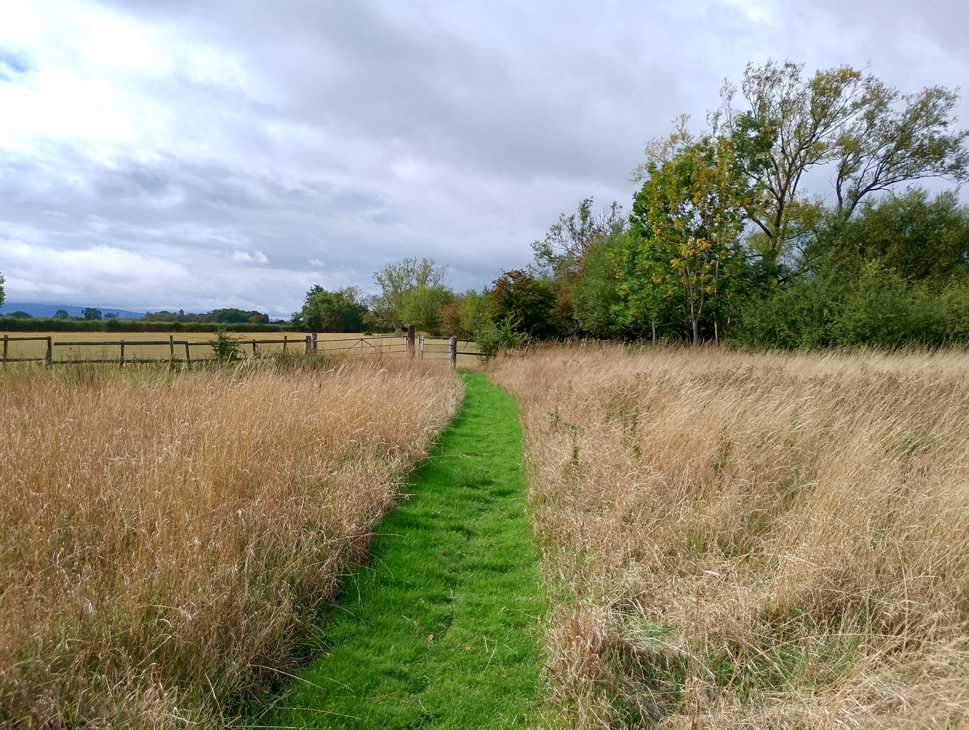A grassy track